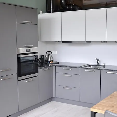 Central Modern Loft * Interlaken